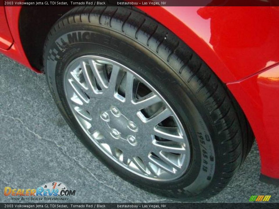 2003 Volkswagen Jetta GL TDI Sedan Tornado Red / Black Photo #10