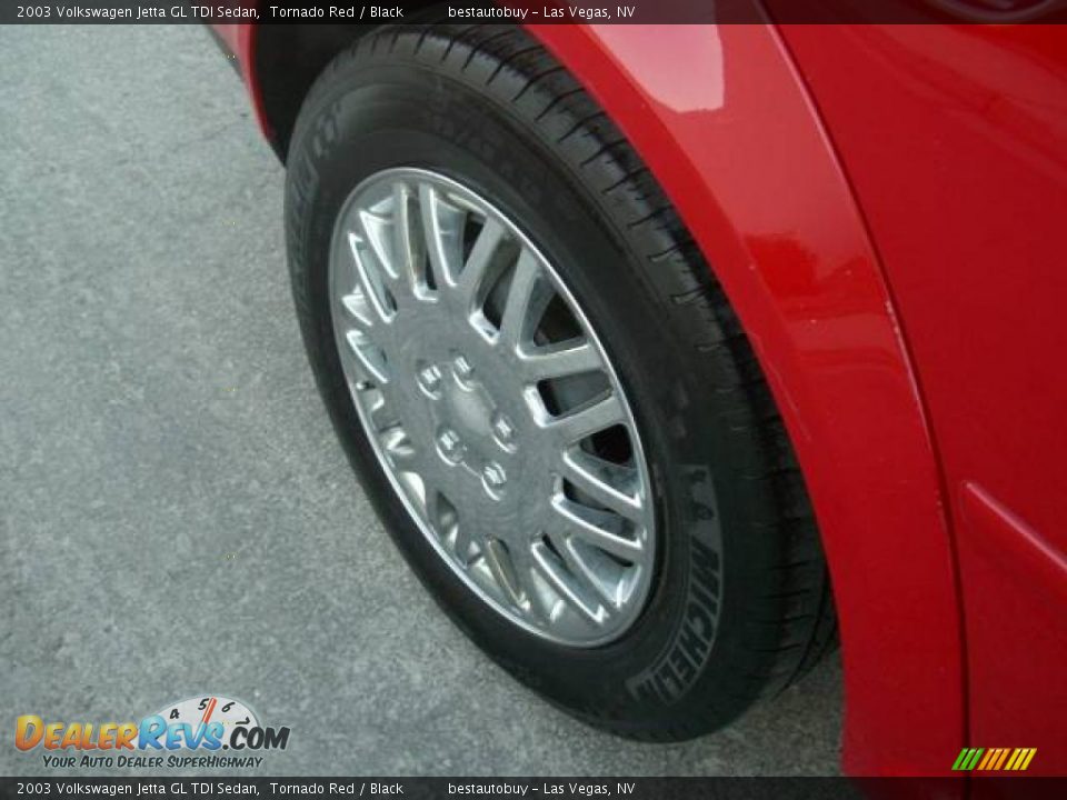 2003 Volkswagen Jetta GL TDI Sedan Tornado Red / Black Photo #13