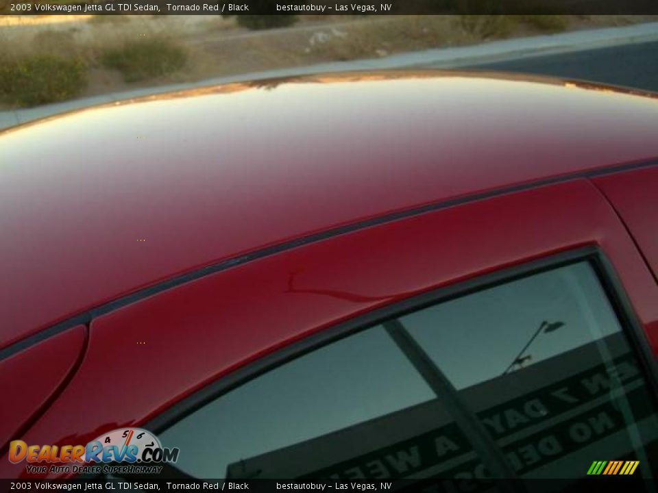 2003 Volkswagen Jetta GL TDI Sedan Tornado Red / Black Photo #14