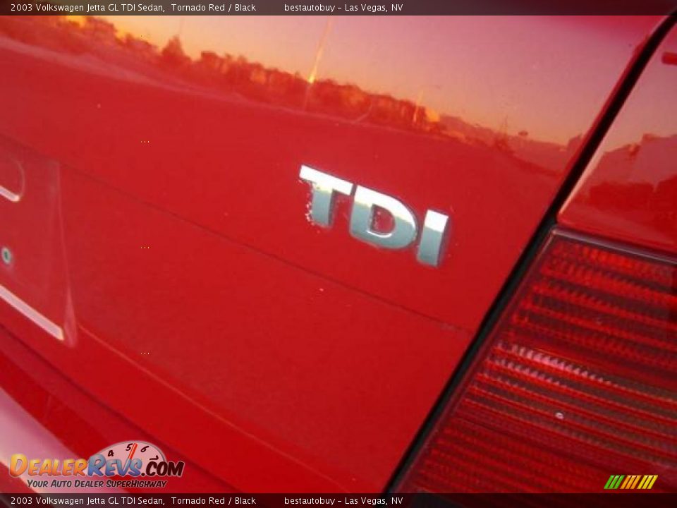 2003 Volkswagen Jetta GL TDI Sedan Tornado Red / Black Photo #15