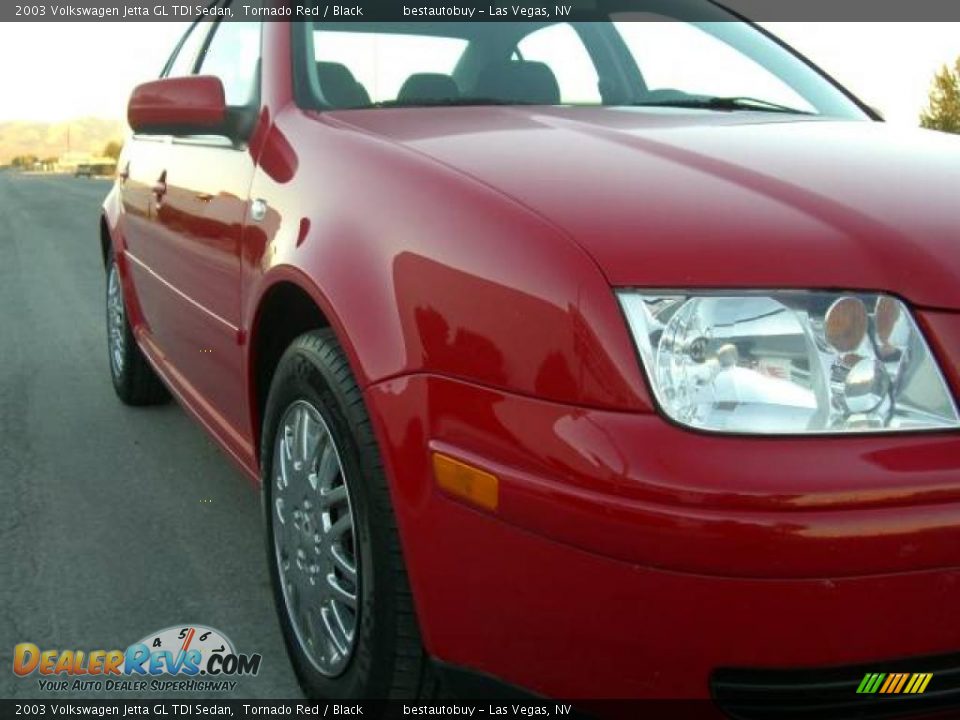 2003 Volkswagen Jetta GL TDI Sedan Tornado Red / Black Photo #18