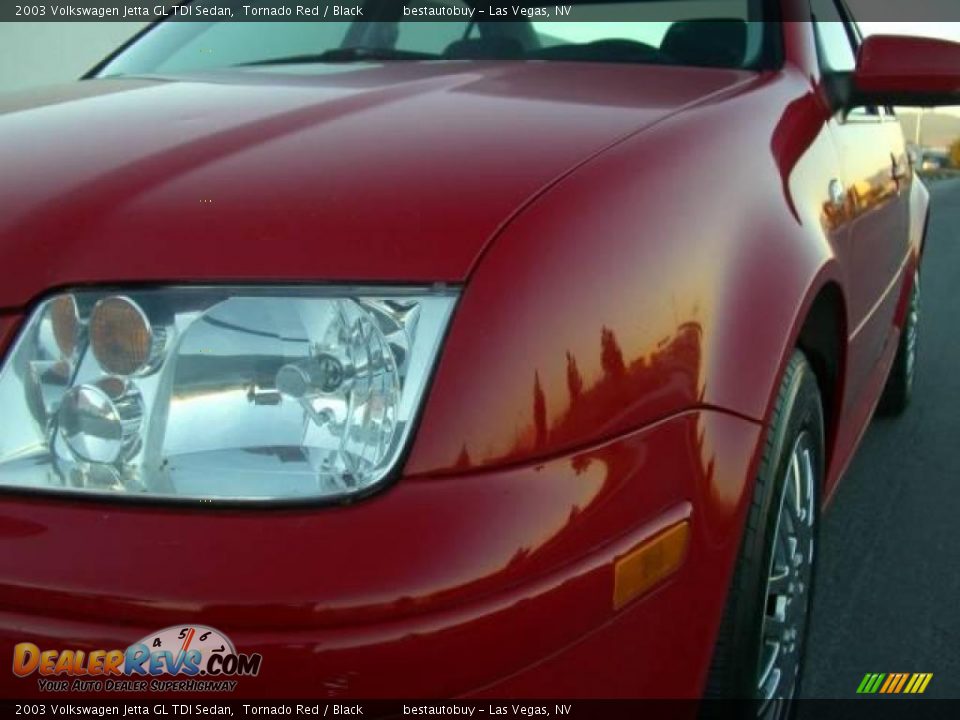 2003 Volkswagen Jetta GL TDI Sedan Tornado Red / Black Photo #19