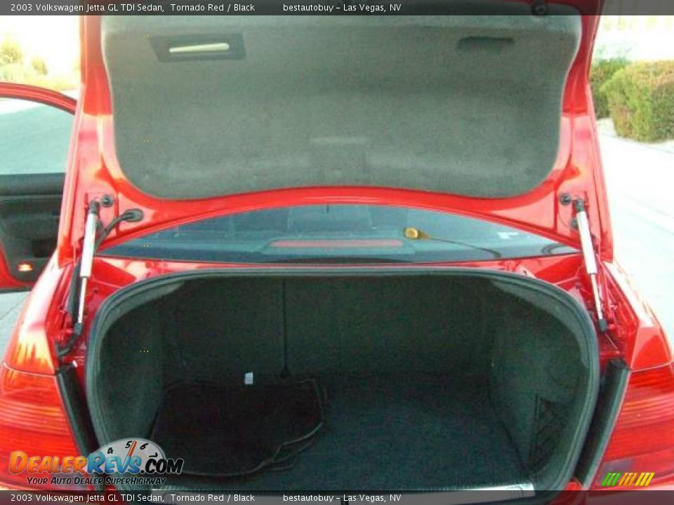 2003 Volkswagen Jetta GL TDI Sedan Tornado Red / Black Photo #22