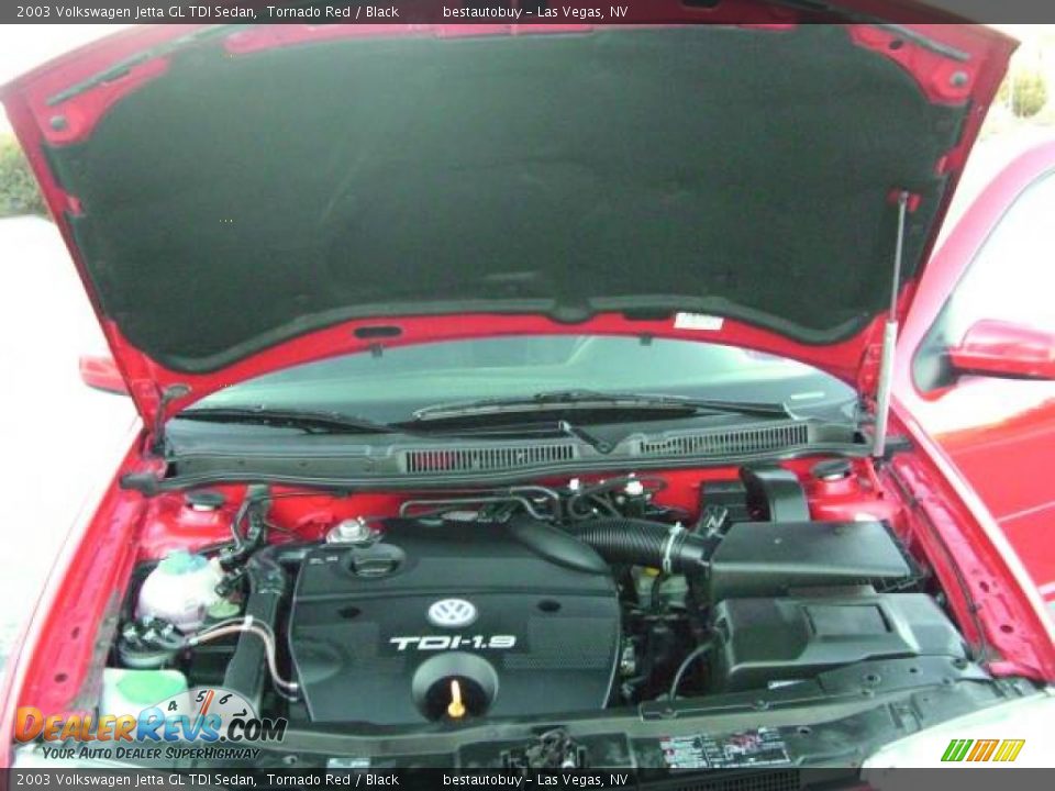 2003 Volkswagen Jetta GL TDI Sedan Tornado Red / Black Photo #27