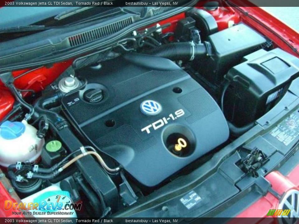 2003 Volkswagen Jetta GL TDI Sedan Tornado Red / Black Photo #29