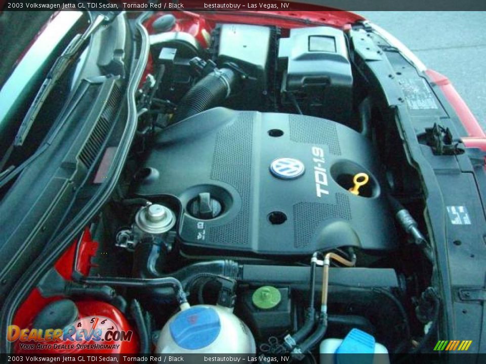 2003 Volkswagen Jetta GL TDI Sedan Tornado Red / Black Photo #30