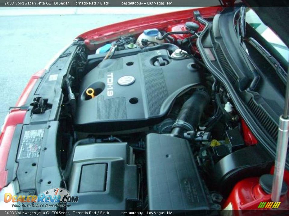 2003 Volkswagen Jetta GL TDI Sedan Tornado Red / Black Photo #32