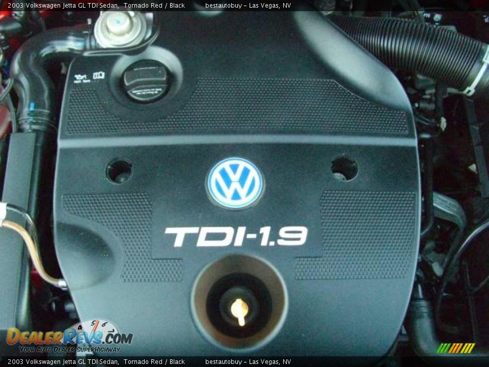 2003 Volkswagen Jetta GL TDI Sedan Tornado Red / Black Photo #33