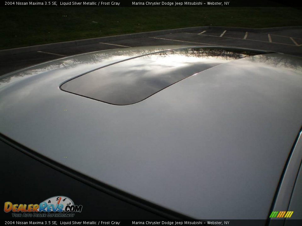 2004 Nissan Maxima 3.5 SE Liquid Silver Metallic / Frost Gray Photo #9