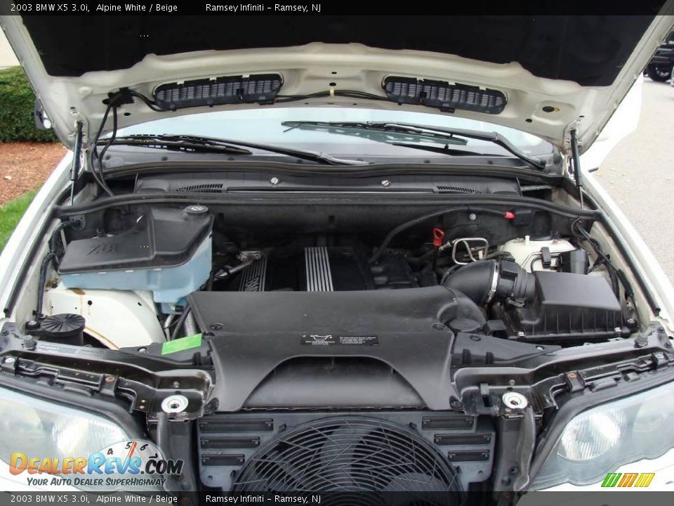 2003 BMW X5 3.0i Alpine White / Beige Photo #15