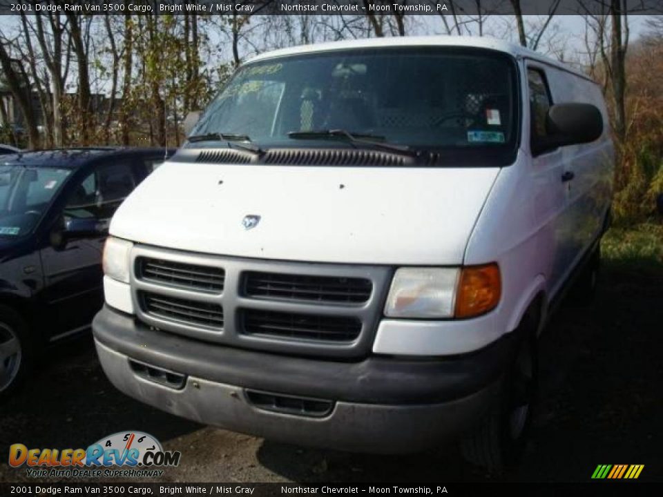 2001 Dodge Ram Van 3500 Cargo Bright White / Mist Gray Photo #5