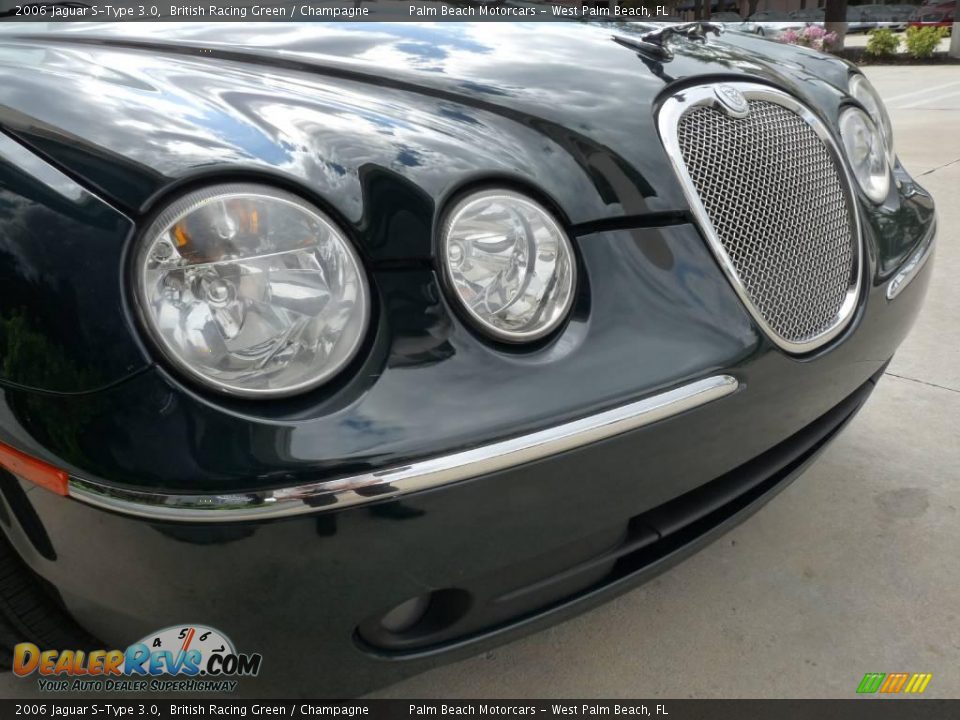 2006 Jaguar S-Type 3.0 British Racing Green / Champagne Photo #10