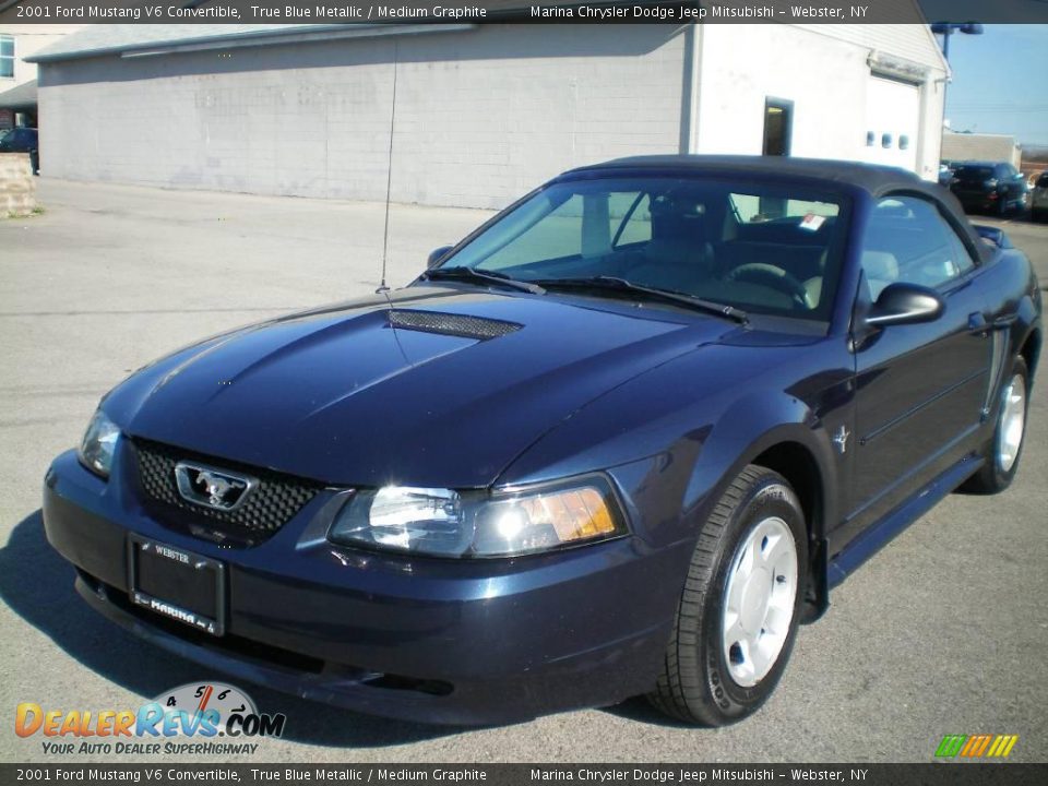 2001 Ford Mustang V6 Convertible True Blue Metallic / Medium Graphite Photo #1