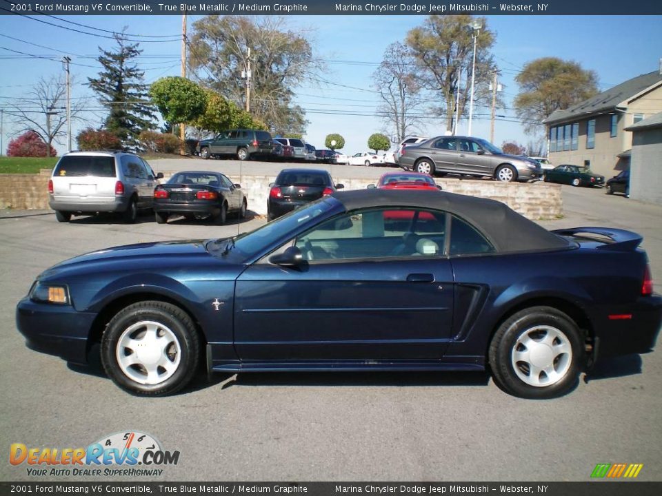 2001 Ford Mustang V6 Convertible True Blue Metallic / Medium Graphite Photo #6