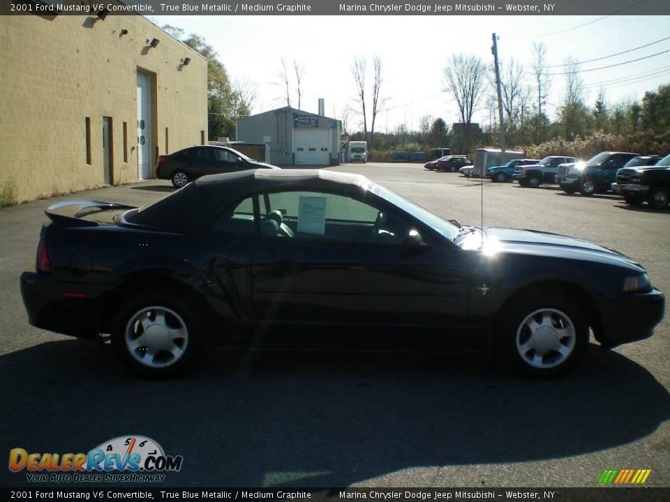2001 Ford Mustang V6 Convertible True Blue Metallic / Medium Graphite Photo #10