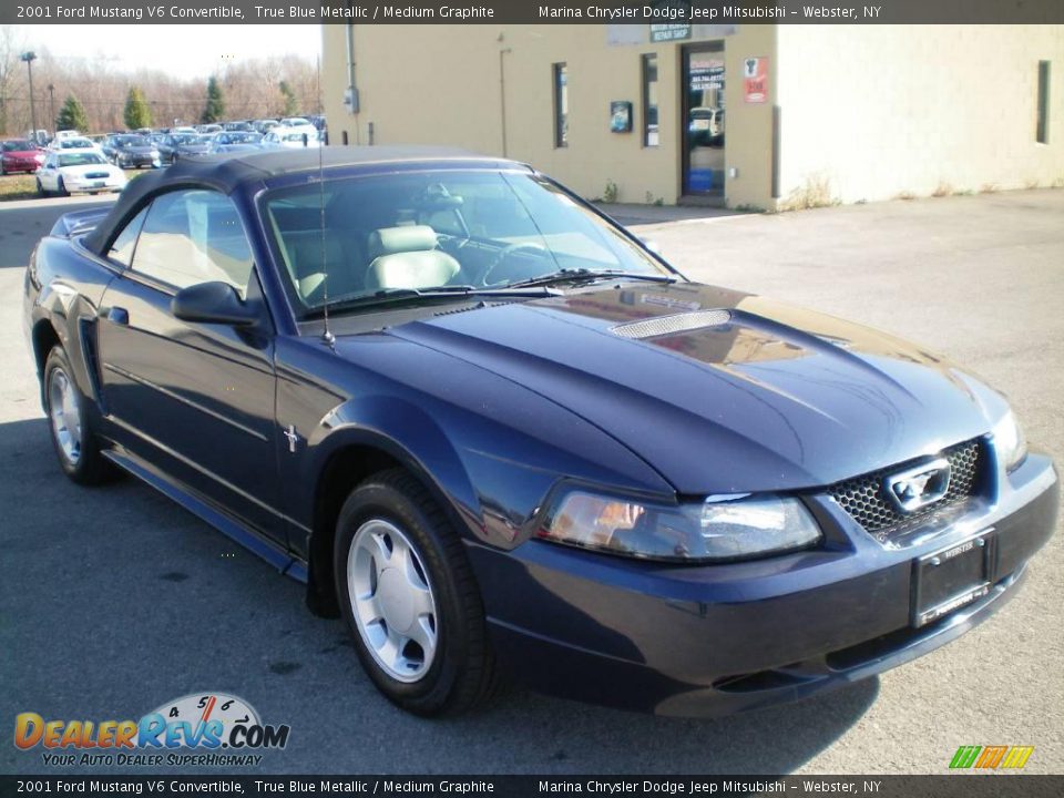 2001 Ford Mustang V6 Convertible True Blue Metallic / Medium Graphite Photo #11