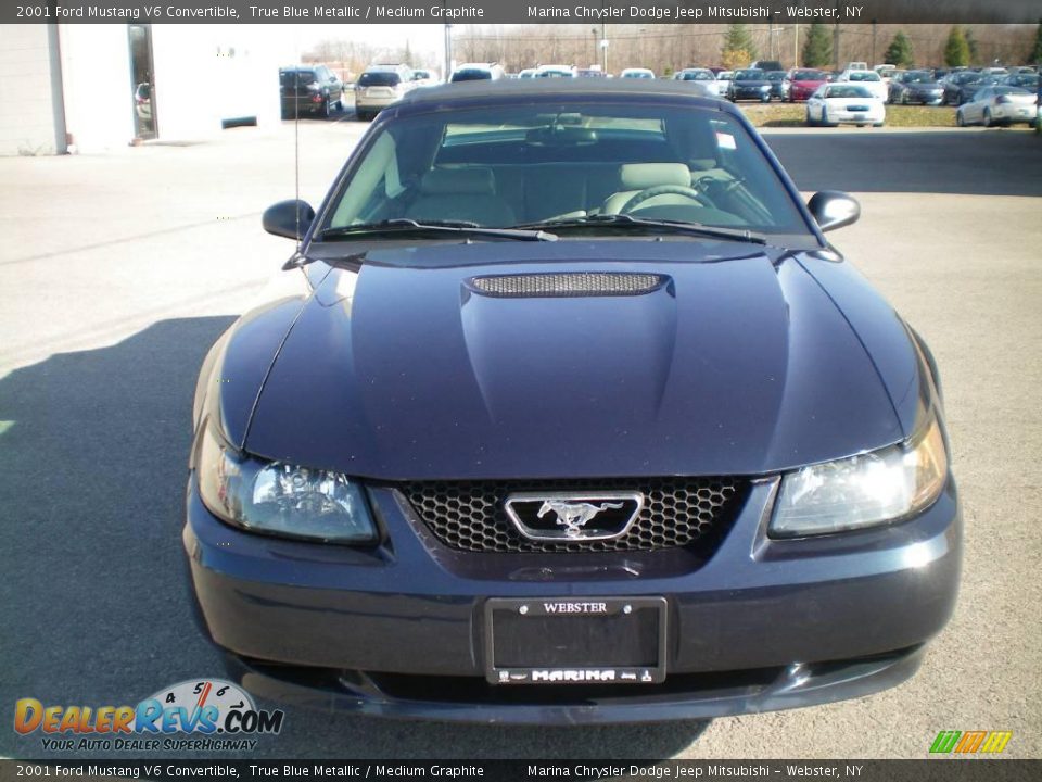 2001 Ford Mustang V6 Convertible True Blue Metallic / Medium Graphite Photo #12
