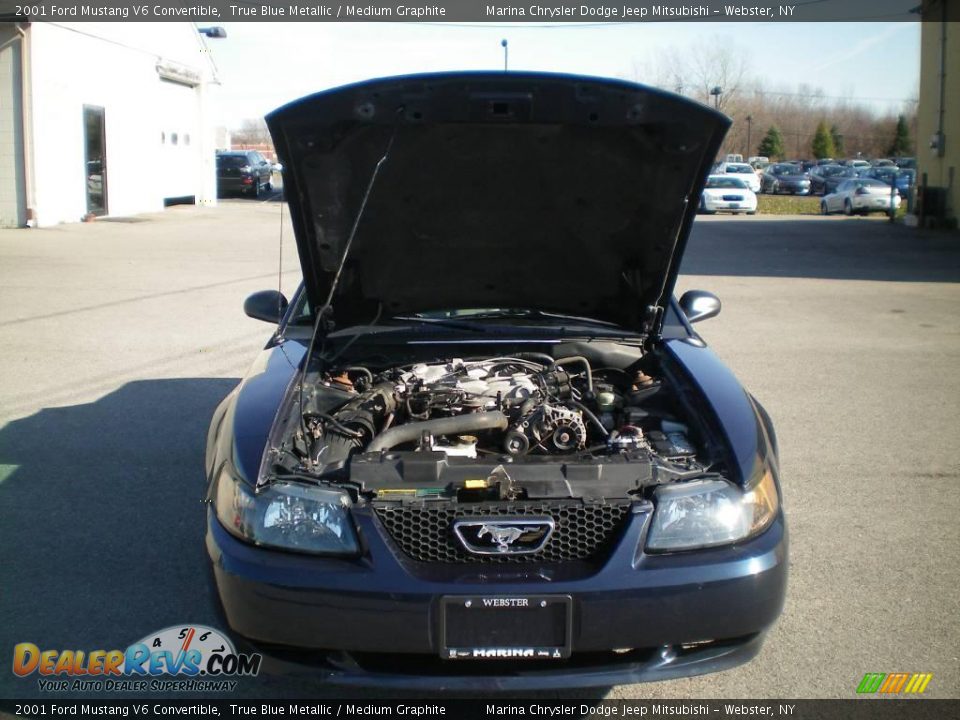 2001 Ford Mustang V6 Convertible True Blue Metallic / Medium Graphite Photo #13