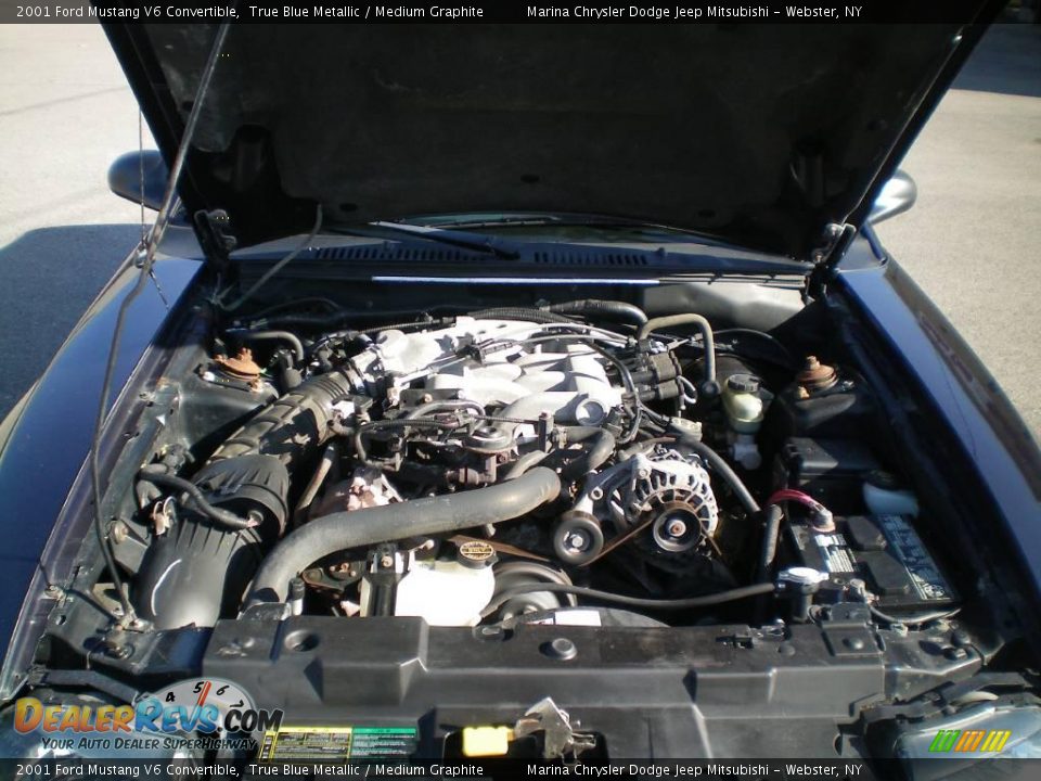 2001 Ford Mustang V6 Convertible True Blue Metallic / Medium Graphite Photo #14