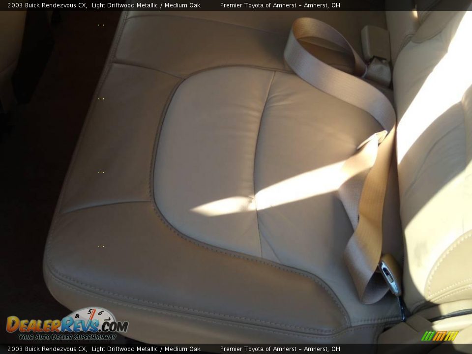 2003 Buick Rendezvous CX Light Driftwood Metallic / Medium Oak Photo #10
