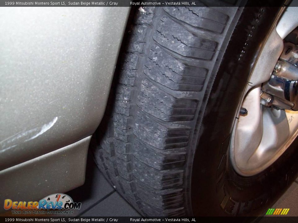 1999 Mitsubishi Montero Sport LS Sudan Beige Metallic / Gray Photo #22
