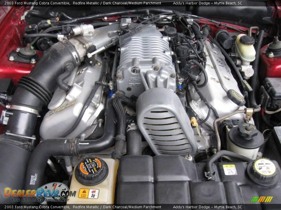 2003 Ford Mustang Cobra Convertible Redfire Metallic / Dark Charcoal/Medium Parchment Photo #30