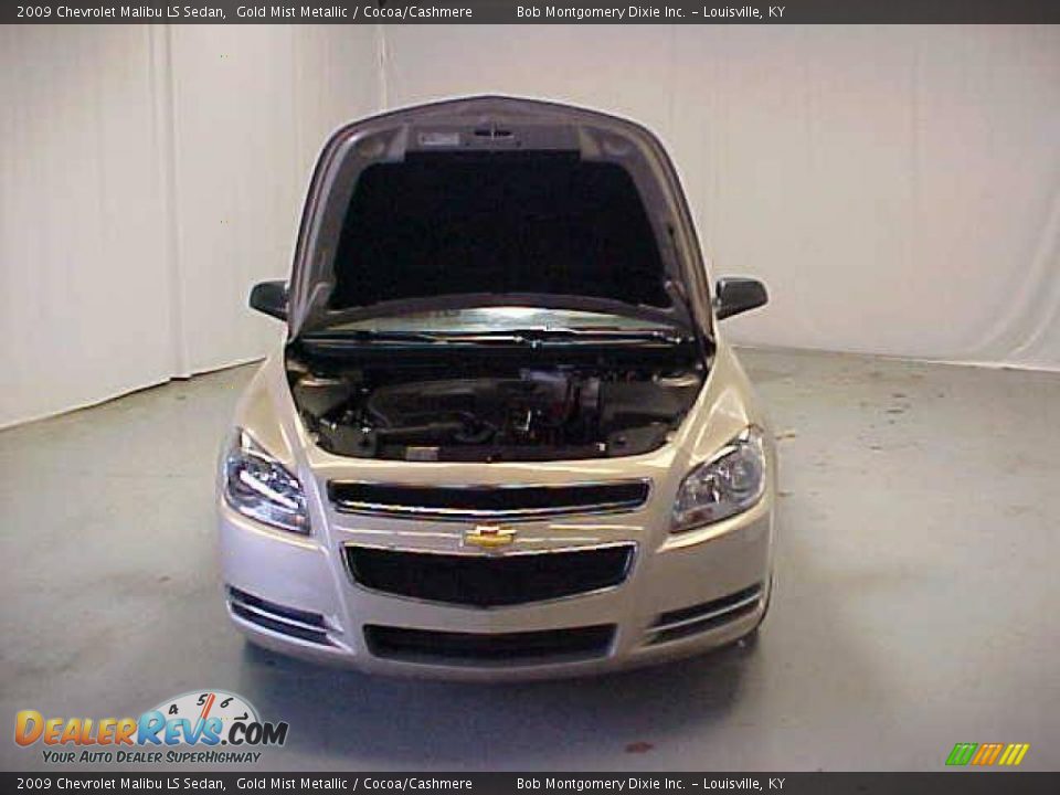 2009 Chevrolet Malibu LS Sedan Gold Mist Metallic / Cocoa/Cashmere Photo #4
