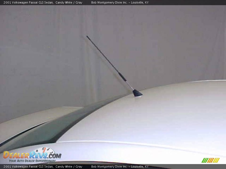 2001 Volkswagen Passat GLS Sedan Candy White / Gray Photo #11