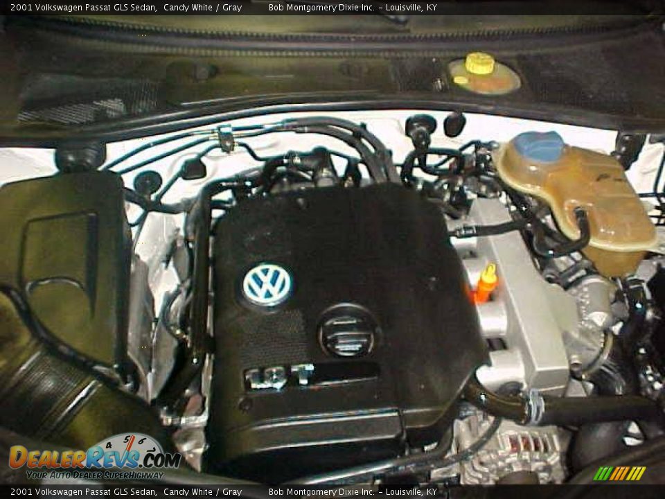 2001 Volkswagen Passat GLS Sedan Candy White / Gray Photo #29
