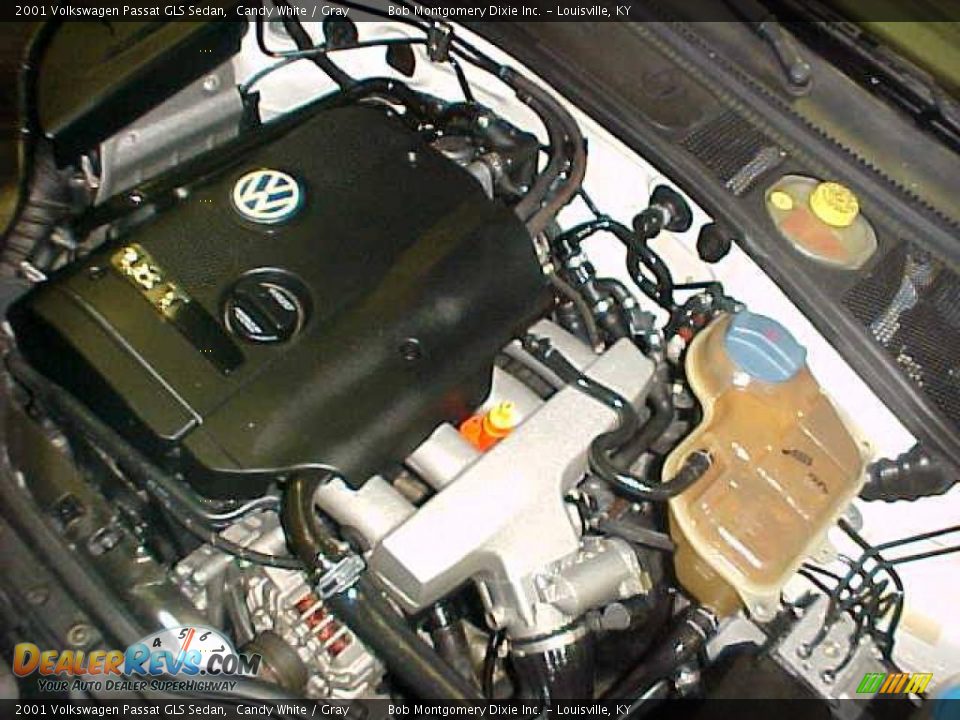 2001 Volkswagen Passat GLS Sedan Candy White / Gray Photo #30