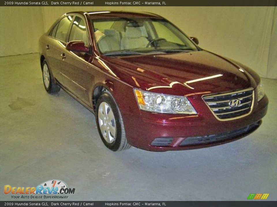 2009 Hyundai Sonata GLS Dark Cherry Red / Camel Photo #2
