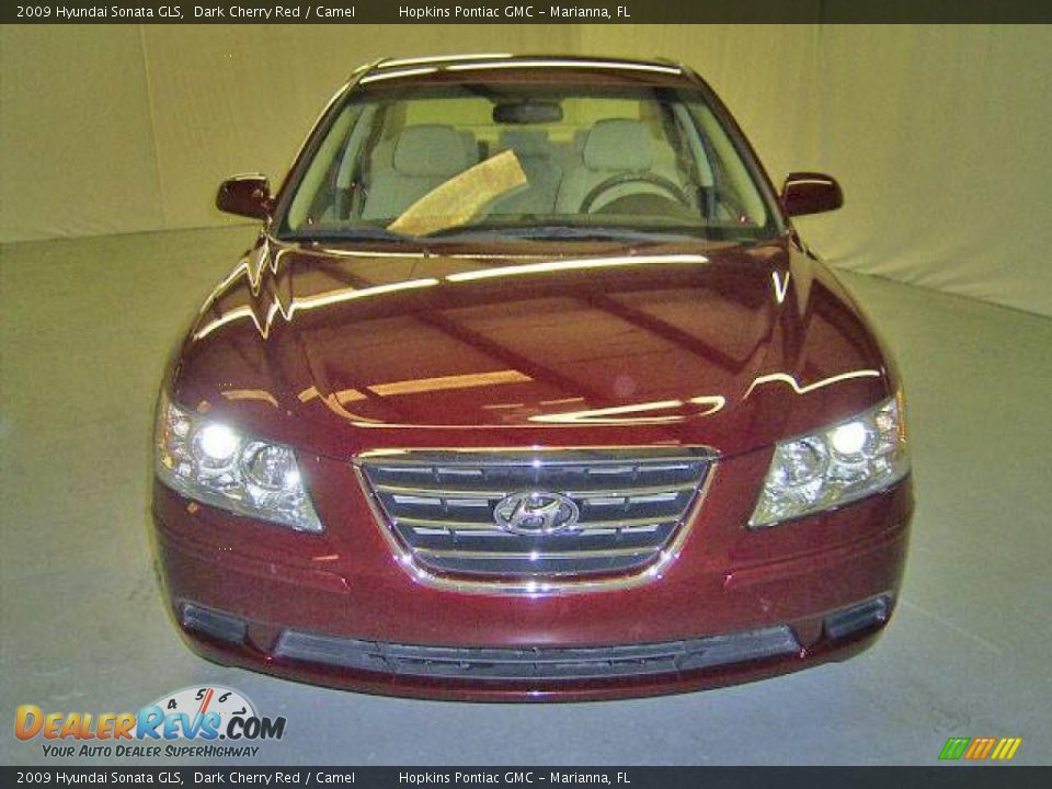 2009 Hyundai Sonata GLS Dark Cherry Red / Camel Photo #5