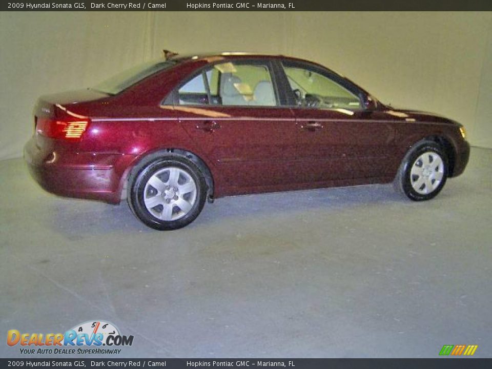2009 Hyundai Sonata GLS Dark Cherry Red / Camel Photo #8