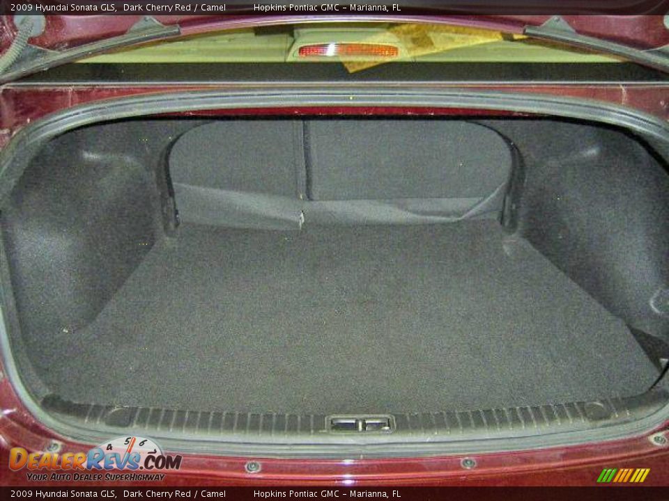 2009 Hyundai Sonata GLS Dark Cherry Red / Camel Photo #10