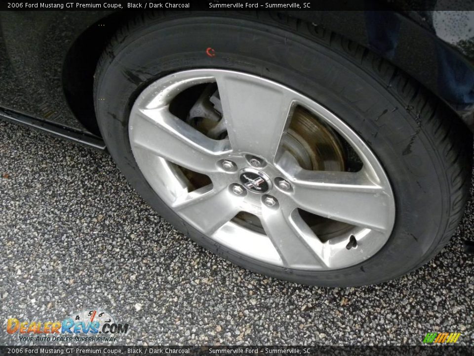 2006 Ford Mustang GT Premium Coupe Black / Dark Charcoal Photo #13