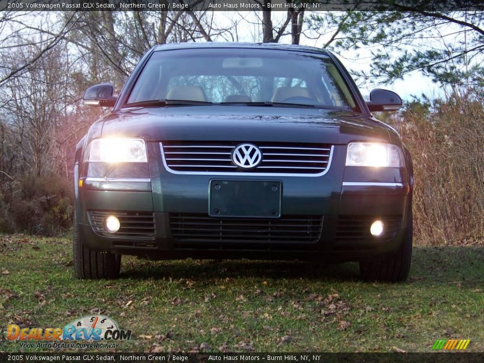 2005 Volkswagen Passat GLX Sedan Northern Green / Beige Photo #2
