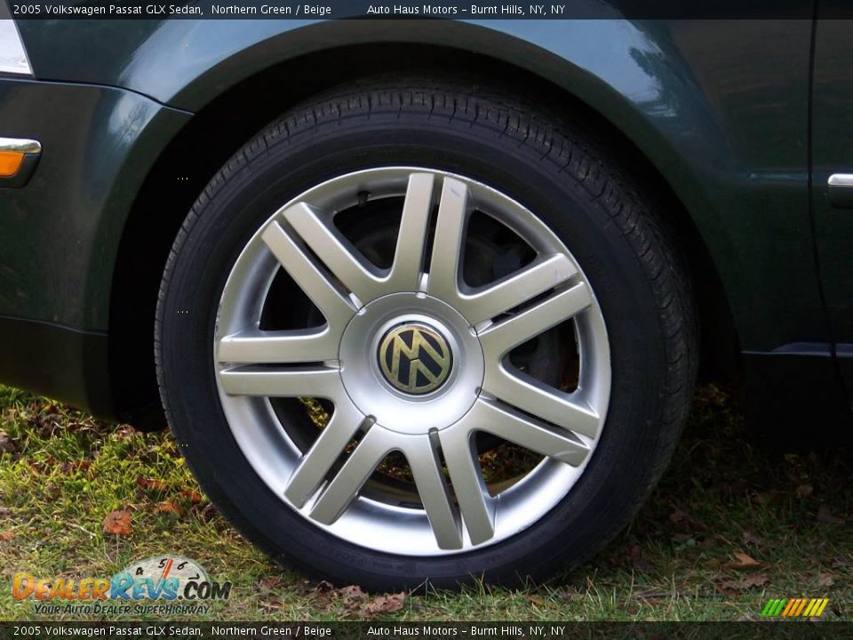 2005 Volkswagen Passat GLX Sedan Northern Green / Beige Photo #9