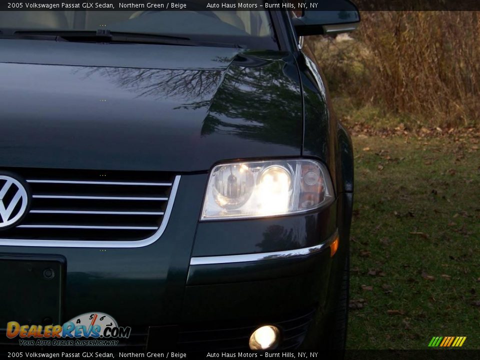 2005 Volkswagen Passat GLX Sedan Northern Green / Beige Photo #10