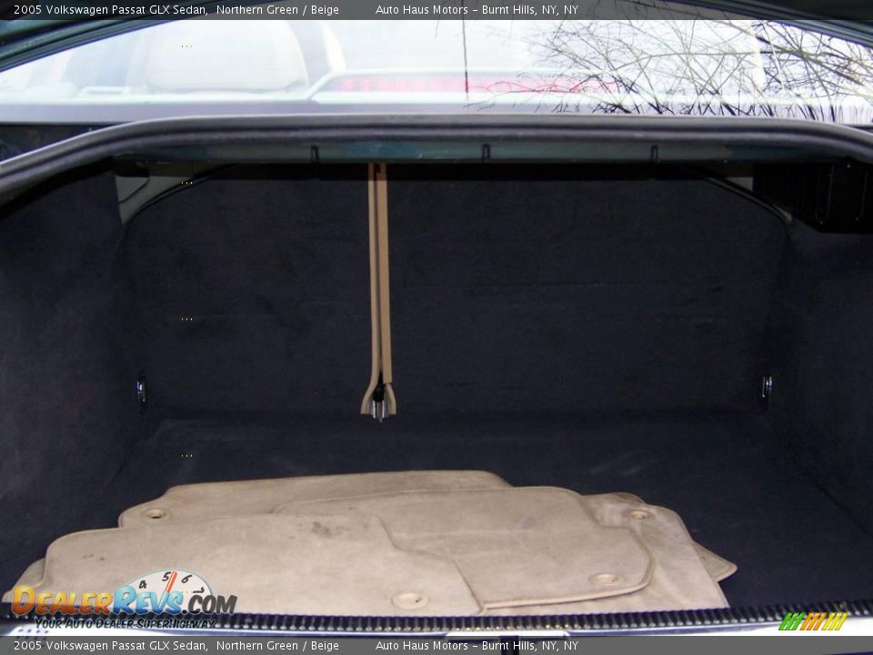 2005 Volkswagen Passat GLX Sedan Northern Green / Beige Photo #14