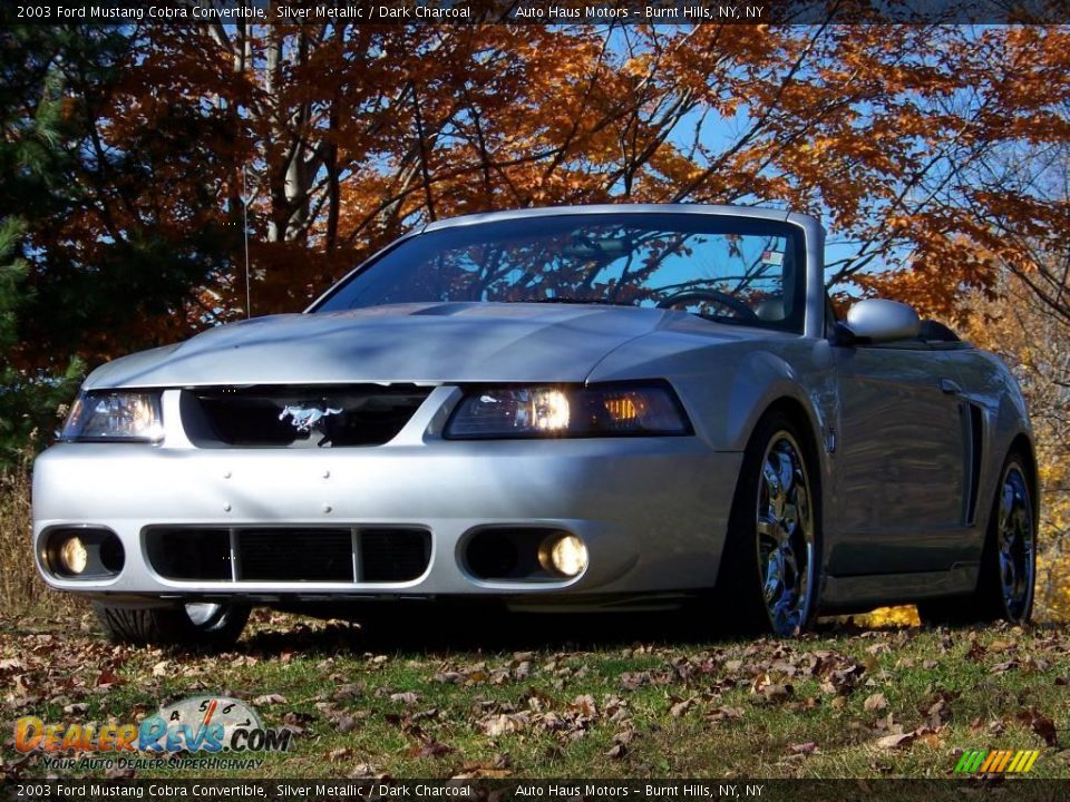 2003 Ford Mustang Cobra Convertible Silver Metallic / Dark Charcoal Photo #1