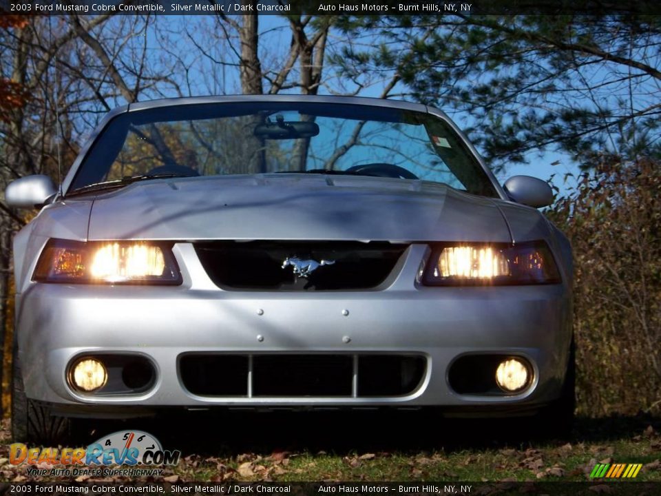 2003 Ford Mustang Cobra Convertible Silver Metallic / Dark Charcoal Photo #2