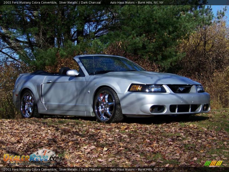 2003 Ford Mustang Cobra Convertible Silver Metallic / Dark Charcoal Photo #3