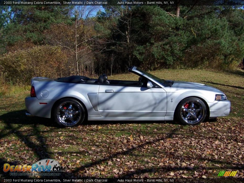 2003 Ford Mustang Cobra Convertible Silver Metallic / Dark Charcoal Photo #4