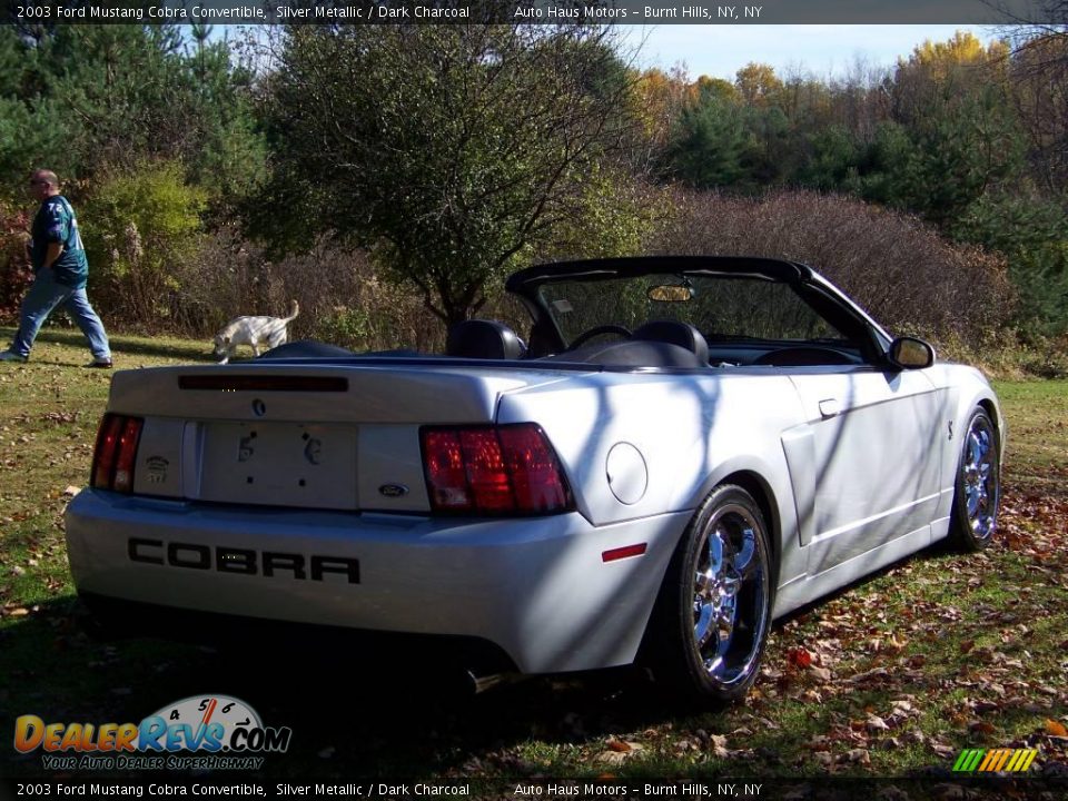 2003 Ford Mustang Cobra Convertible Silver Metallic / Dark Charcoal Photo #5