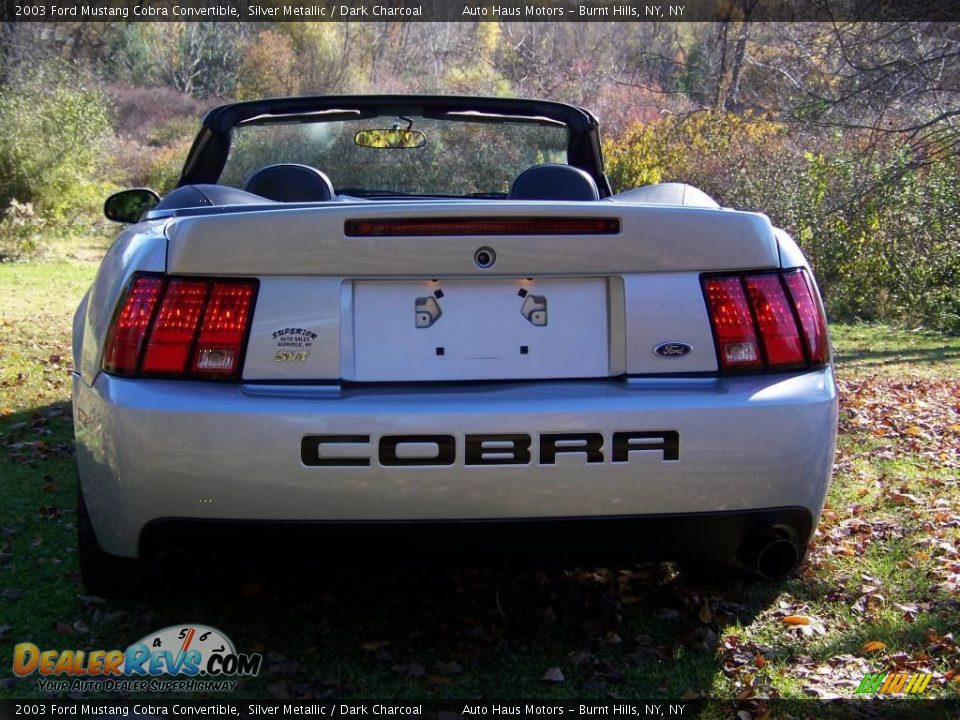 2003 Ford Mustang Cobra Convertible Silver Metallic / Dark Charcoal Photo #6