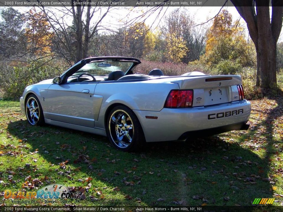 2003 Ford Mustang Cobra Convertible Silver Metallic / Dark Charcoal Photo #7
