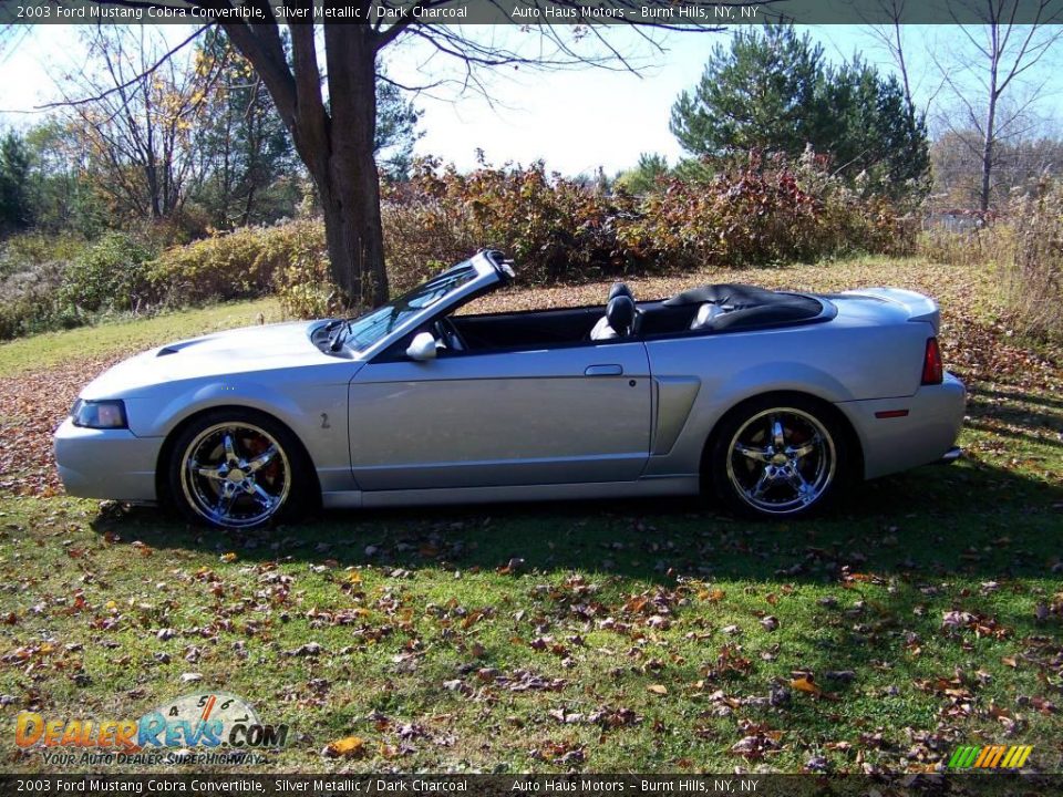 2003 Ford Mustang Cobra Convertible Silver Metallic / Dark Charcoal Photo #8