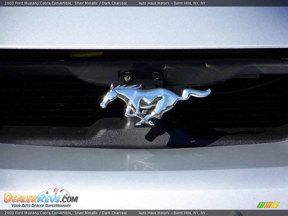 2003 Ford Mustang Cobra Convertible Silver Metallic / Dark Charcoal Photo #12