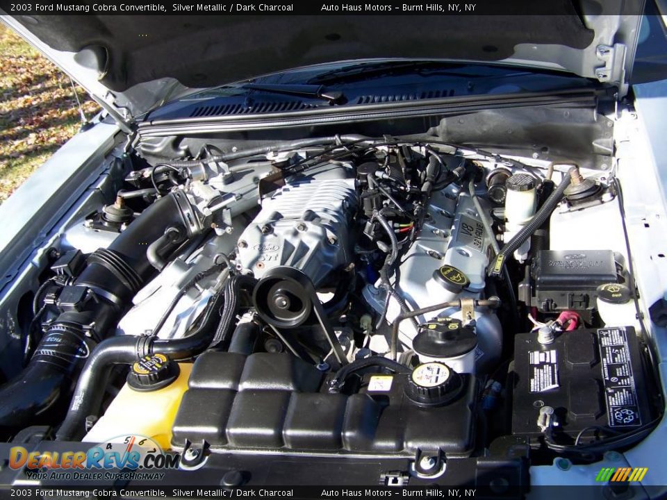 2003 Ford Mustang Cobra Convertible Silver Metallic / Dark Charcoal Photo #16