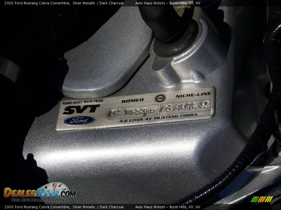 2003 Ford Mustang Cobra Convertible Silver Metallic / Dark Charcoal Photo #18